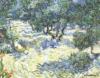 Оливковые Деревья, Ван Гог: оригинал