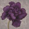Purple Flower: оригинал