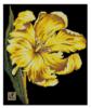 Схема вышивки «Жёлтый тюльпан»
