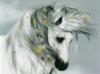 Схема вышивки «Белая лошадь»