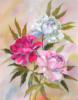 Схема вышивки &laquo;Пионы111&raquo;
