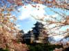 Замок Kinki Himeji. Япония : оригинал