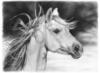 Схема вышивки «Черно-белое-лошадь»