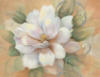 White Flower - Camellia: оригинал