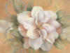 Схема вышивки «White Flower - Camellia»