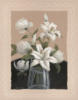 Схема вышивки «White Flowers - Lillies»