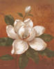 Схема вышивки «White Flower - Magnolia»