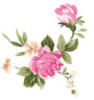 Схема вышивки &laquo;Розы&raquo;