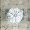 Схема вышивки «White Flower on Silver»