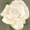 White Rose: оригинал