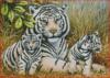 Схема вышивки «Семья белых тигров»
