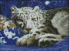 Схема вышивки «Белый леопард»