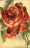 Схема вышивки «A Beautiful Red Rose»