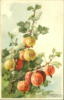 Схема вышивки «Tree with golden and red apples»