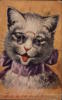 Схема вышивки «Cat wearing spectacles»