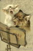 Схема вышивки «Two Kittens Singing»