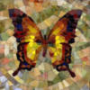 Схема вышивки «Бабочка мозаика»
