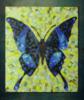 Бабочка-мозаика: оригинал