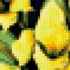 Желтые цветы: предпросмотр