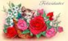 Схема вышивки «Котёнок в розах»