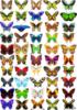 Схема вышивки «Много бабочек»