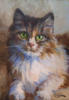 Портрет зеленоглазого кота: оригинал