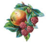 Схема вышивки «Яблоко и малина»