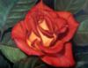 Схема вышивки «роза "Страсть"»