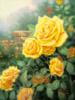 Схема вышивки «Сад с желтыми розами»