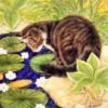Схема вышивки «Кошечка на пруду»