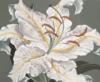 Схема вышивки «Close Up Lily - White»