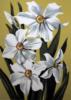 Схема вышивки «White Daffodils»