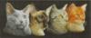 Схема вышивки «Четыре кота»