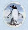 Схема вышивки &laquo;Pingviin&raquo;