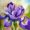 Схема вышивки «Purple Iris»
