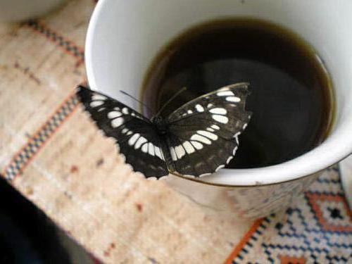 Утренний кофе, кофе, бабочка, натюрморт