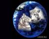Схема вышивки «Планета тигров»