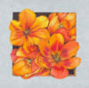Схема вышивки «Orange Flowers on Grеy»