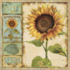 Схема вышивки «Sunflower Collage»