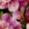 Букет розовых пионов: предпросмотр