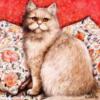 Схема вышивки «Подушка-год кота»
