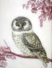Схема вышивки &laquo;Сова&raquo;