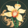 Схема вышивки «Подушка "Орхидея"»