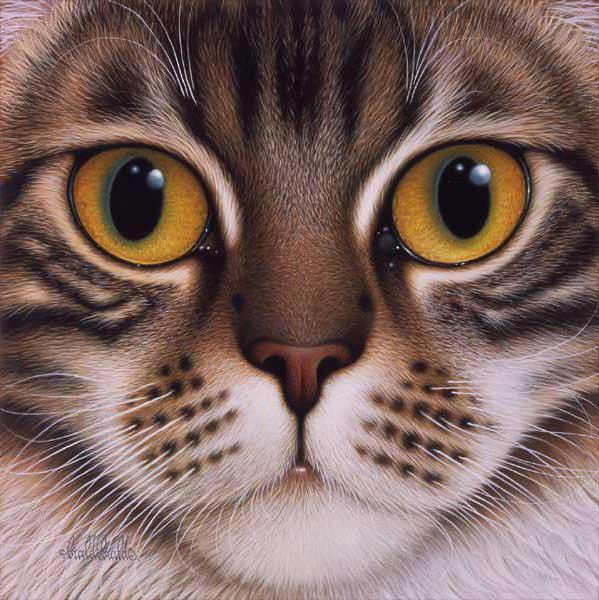 Портрет киски, животные, домашние, кошка, кот, котёнок, зеркало, отражение, свеча, милый, картина, живопись, искусство