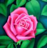 Схема вышивки «Розы алый цветок»