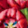Красные тюльпаны: предпросмотр