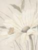 White Flowers on Tan: оригинал