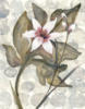 Схема вышивки «Exotic Flower on Gray-Set of 4»