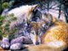 Схема вышивки «Пара влюблённых волков»