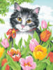 Котик в тюльпанах: оригинал